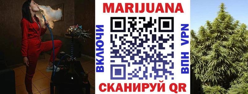 где найти   Карабаново  Бошки марихуана Ganja 